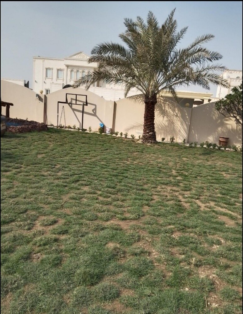 عمل شبكات الري  وزرعه العشب - 4