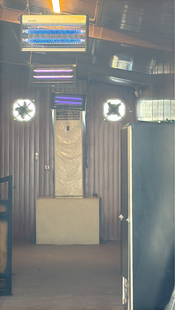 ايواء خيل - 2