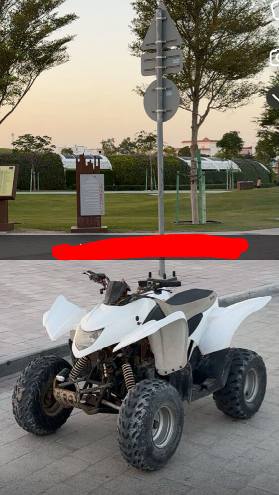 كوبرا للبيع مستعجل - 1