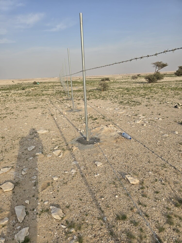 بوكيده - 2