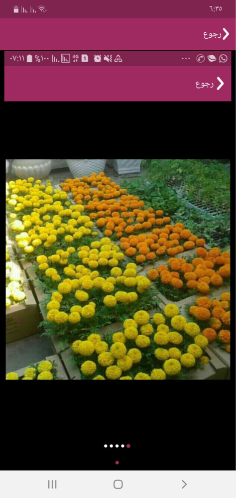 مزارع - 4