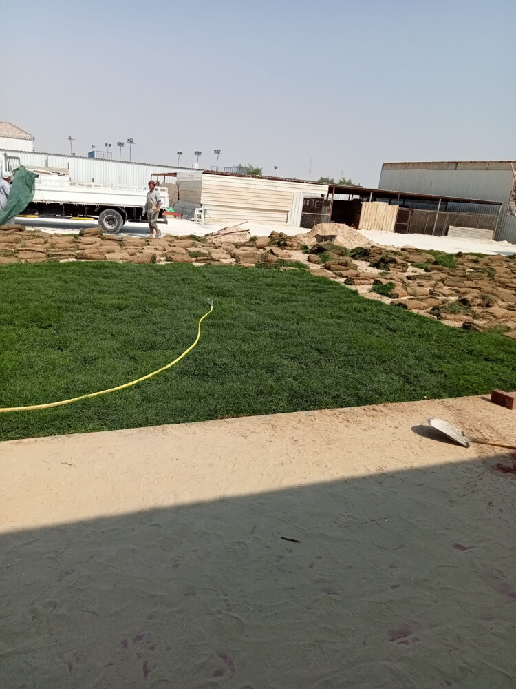 مزارع - 6