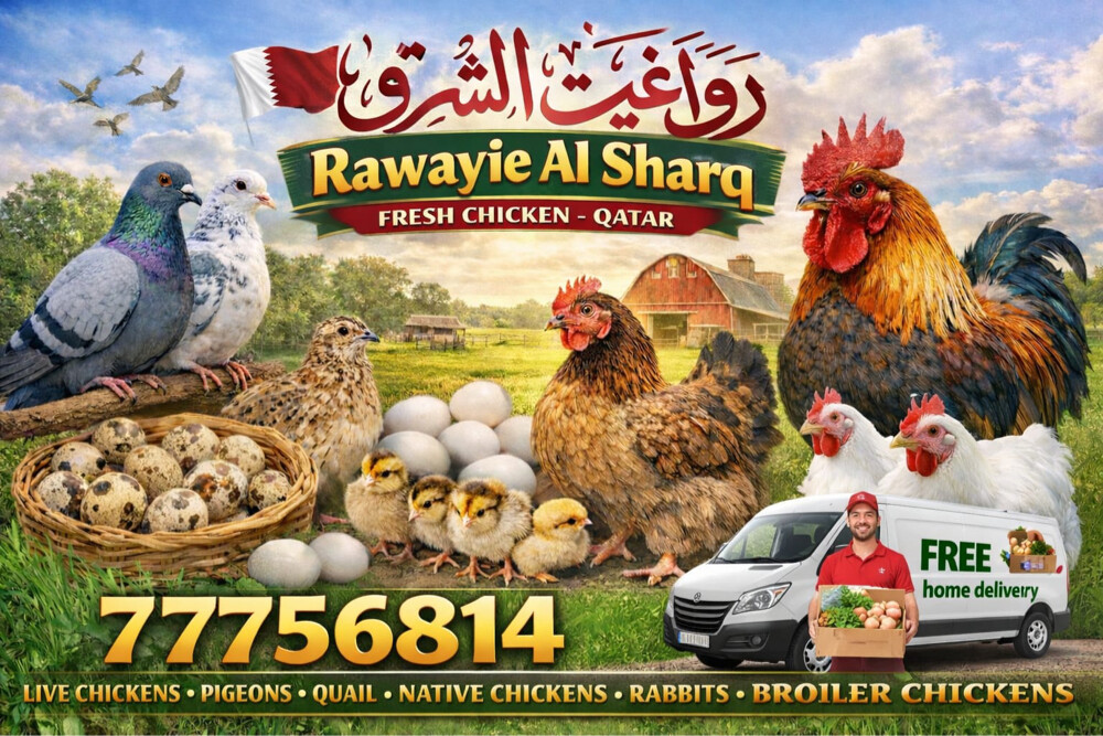 Fresh chicken full package  - 2