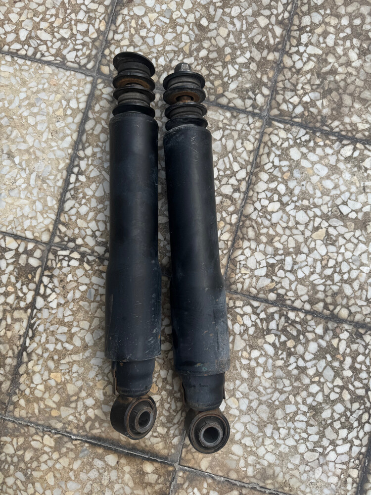 Springs + shocks absorber LC300 - 2