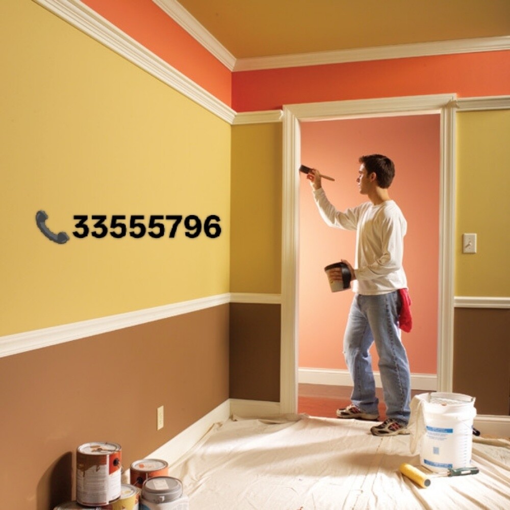 professional painting work - 2