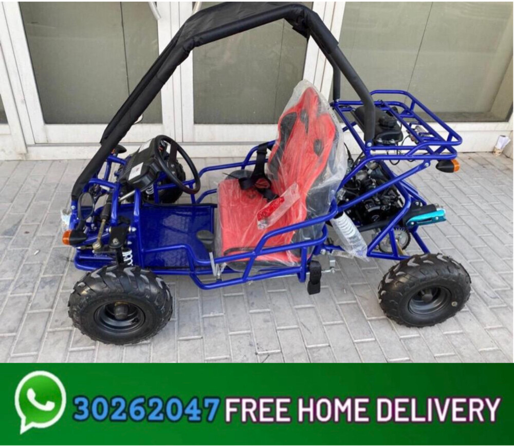 Buggy - 3