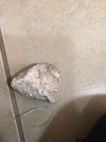 rock 4.5 billion year old  - 6