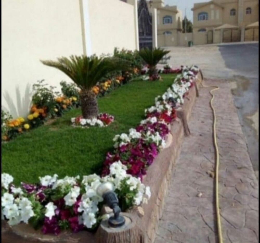 توريد وزراعة العشب الطبيعي - 13