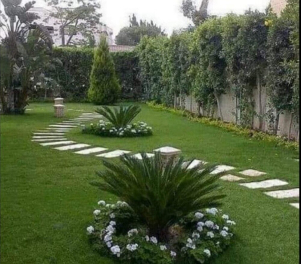 توريد وزراعة العشب الطبيعي - 7