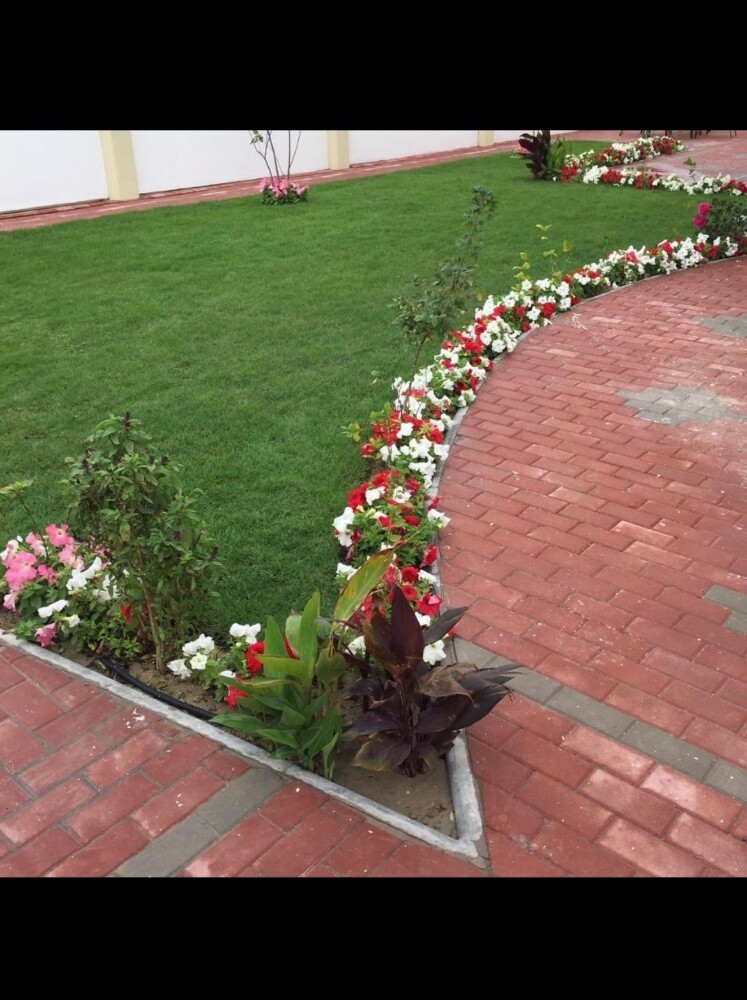 زراعة العشب الطبيعي - 14