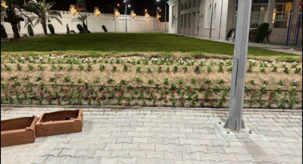 زراعة العشب الطبيعي - 20