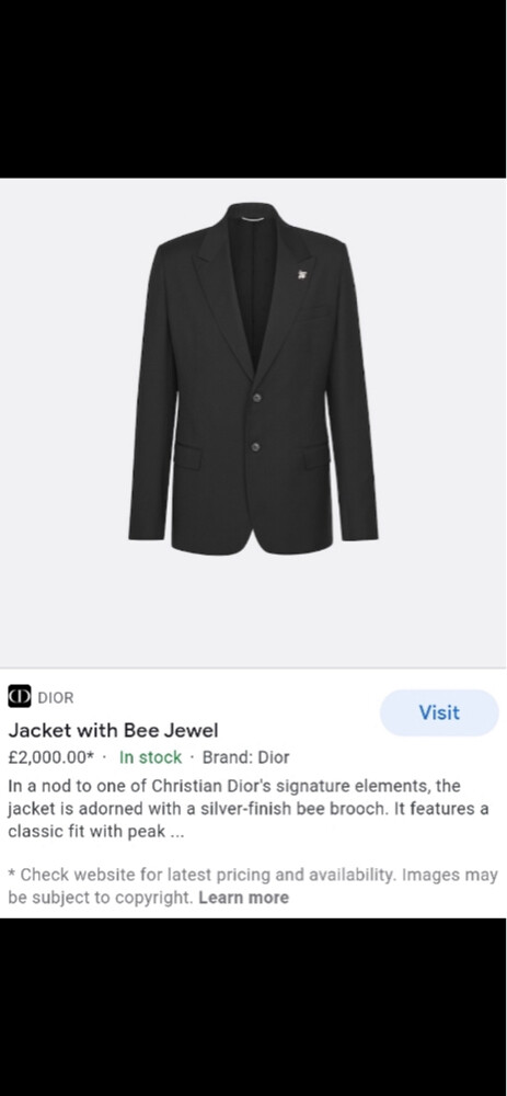 Dior HOMME Bee Embroidery Lame - 7