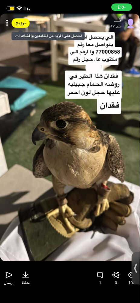 خالد  - 1