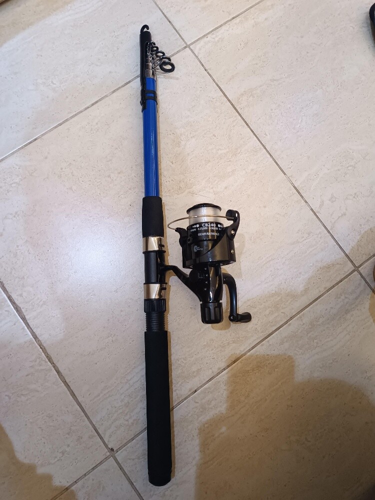fishing rod - 1