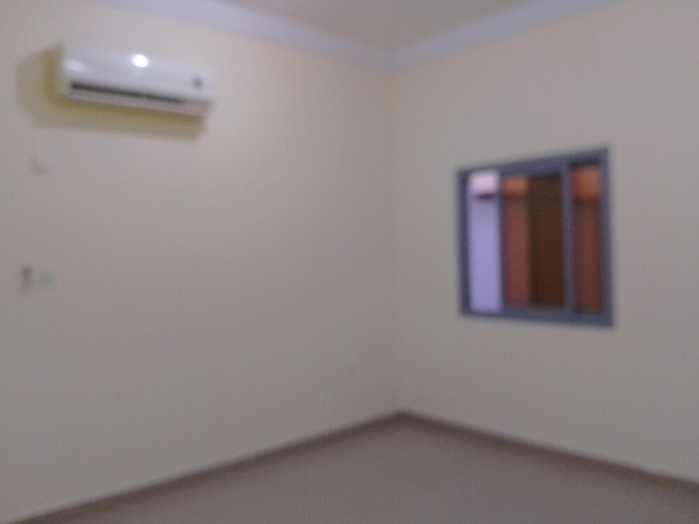 Bedroom, living room, and kitchen - 3