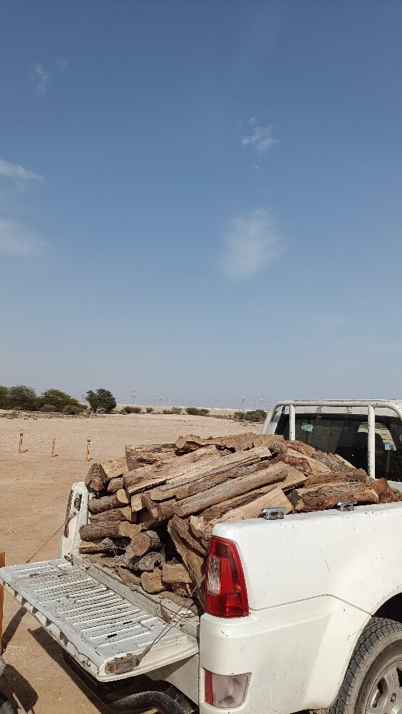 حطب سدر وقرض يابس مكفول - 5