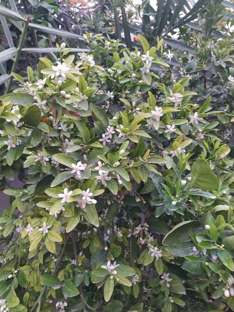 مهندس زراعي - 3