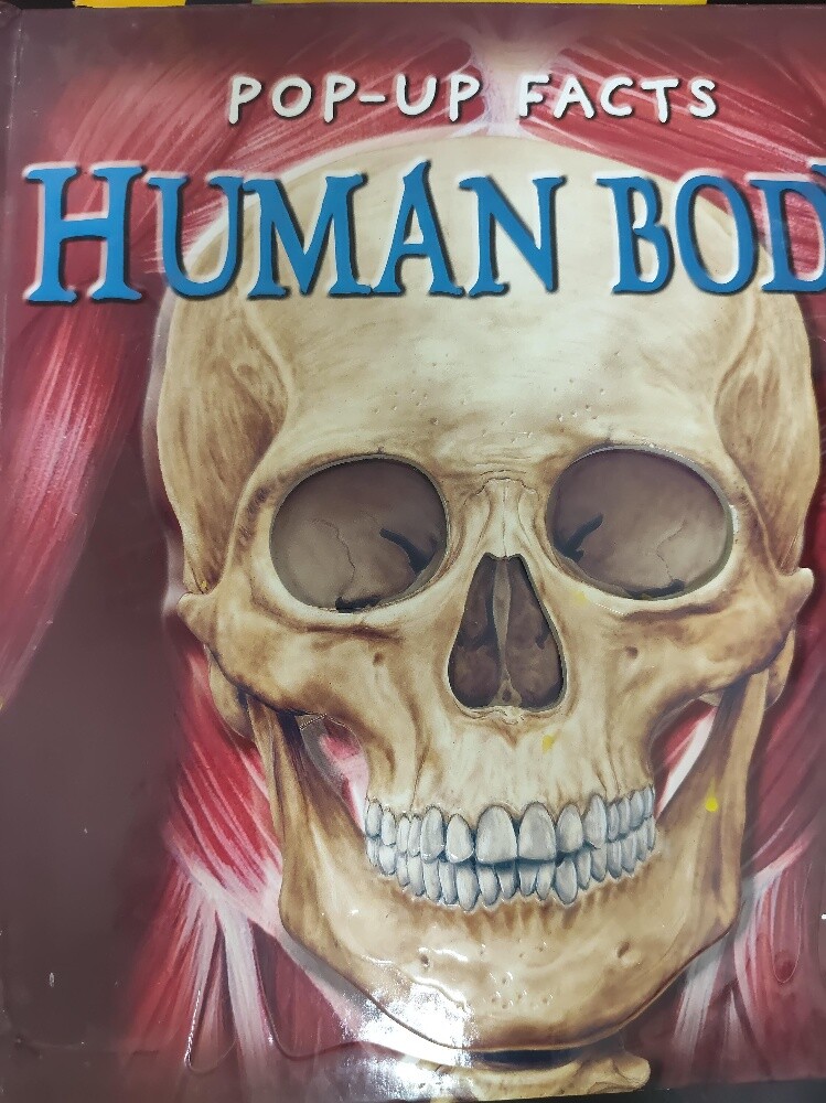 Books mixed - 4