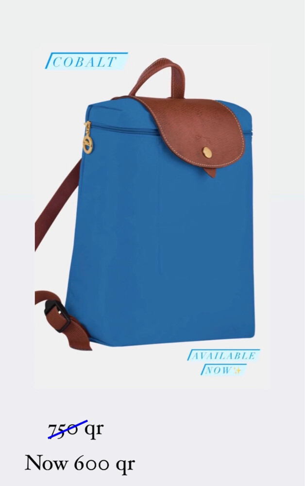 longchamp bag  - 1