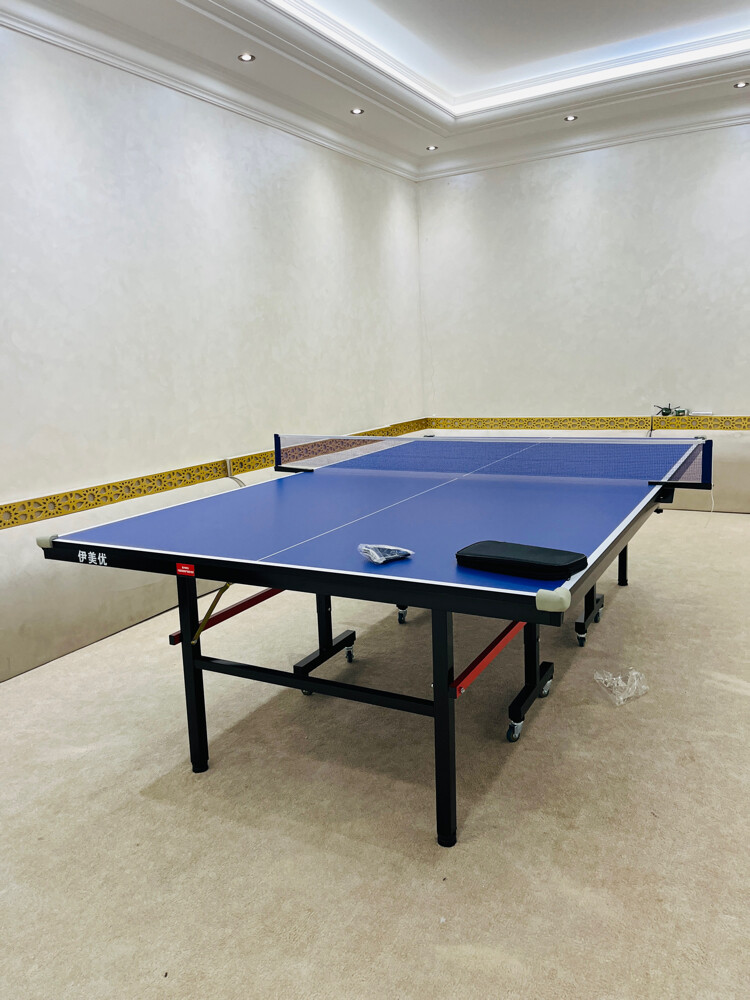 tennis table ping pong - 1