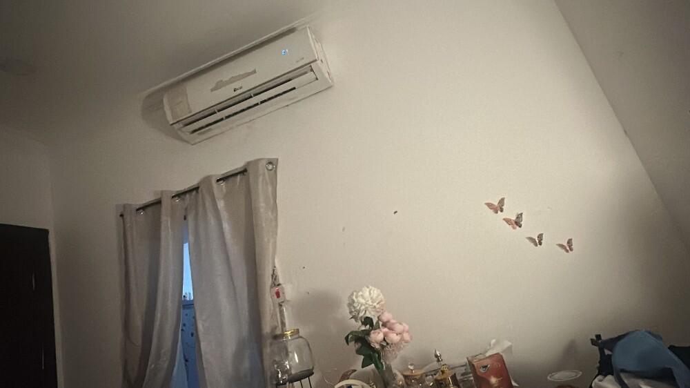 صبغ و دهان محترف - 9
