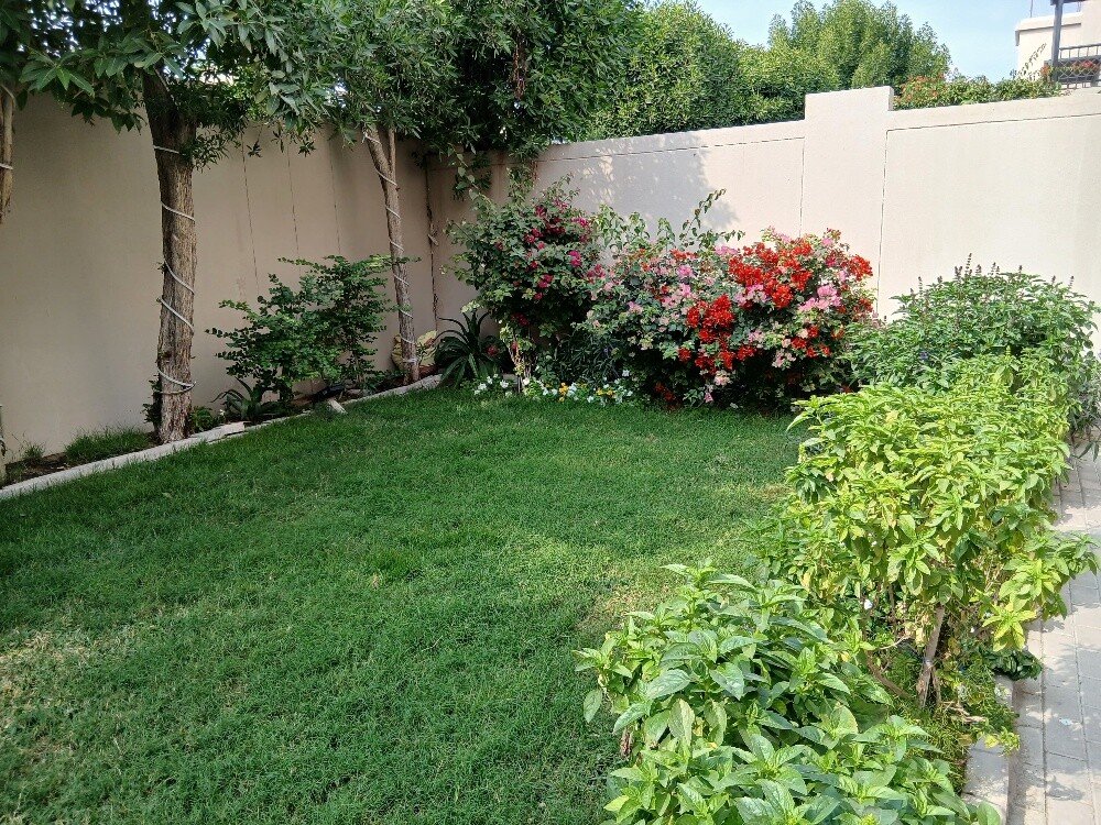albalushi Gardner - 6