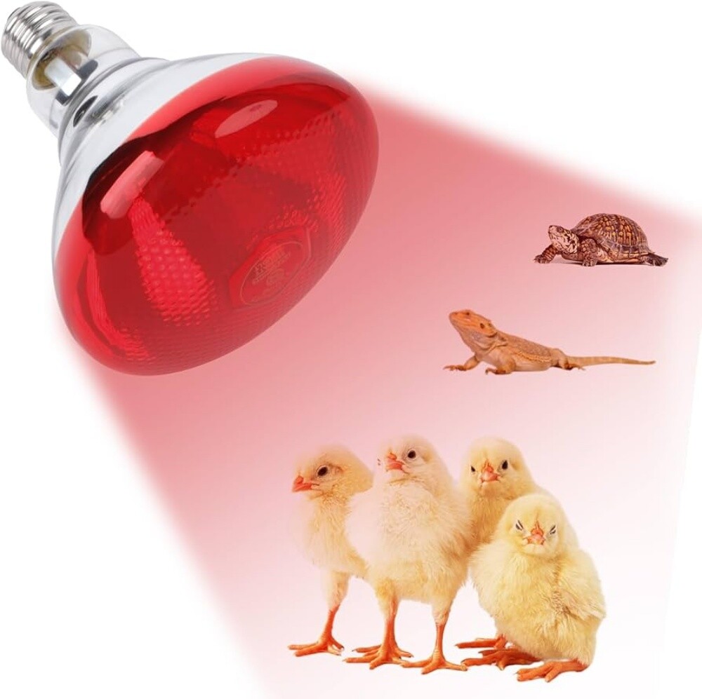 مصباح تدفئة للطيور - 1