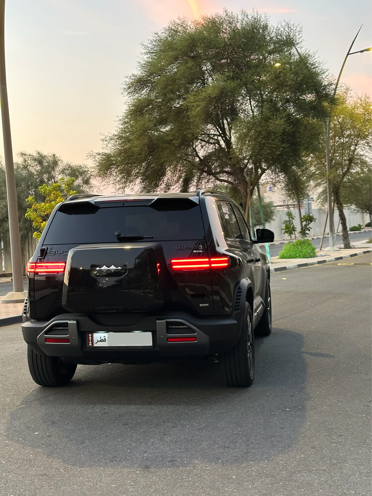Byd leopard 3 — photo 2 for sale in Qatar