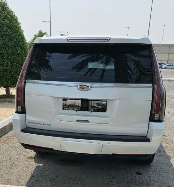 Large Escalade Platinum 2019 - 3