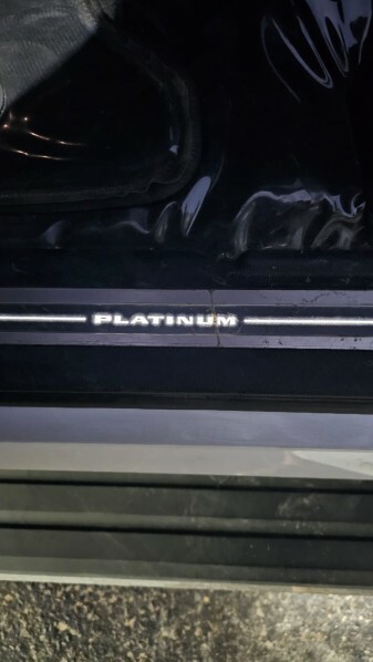 Large Escalade Platinum 2019 - 19