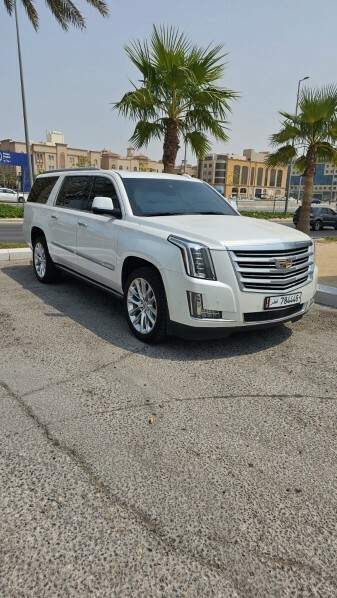 Large Escalade Platinum 2019 - 15