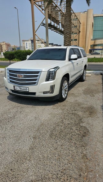 Large Escalade Platinum 2019 - 17