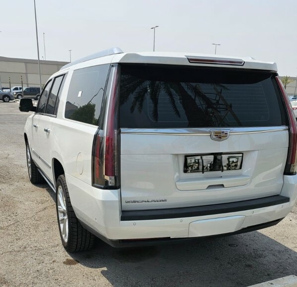 Large Escalade Platinum 2019 - 4