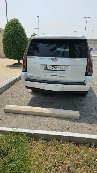 Large Escalade Platinum 2019 - 13