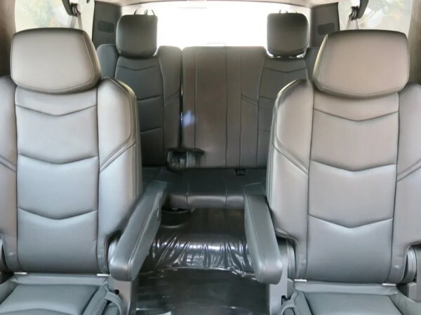 Large Escalade Platinum 2019 - 11