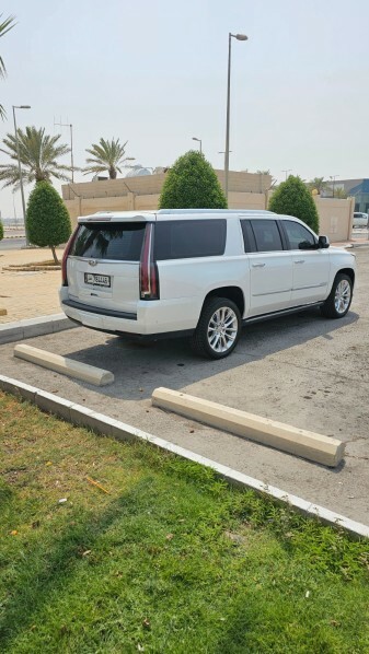 Large Escalade Platinum 2019 - 16