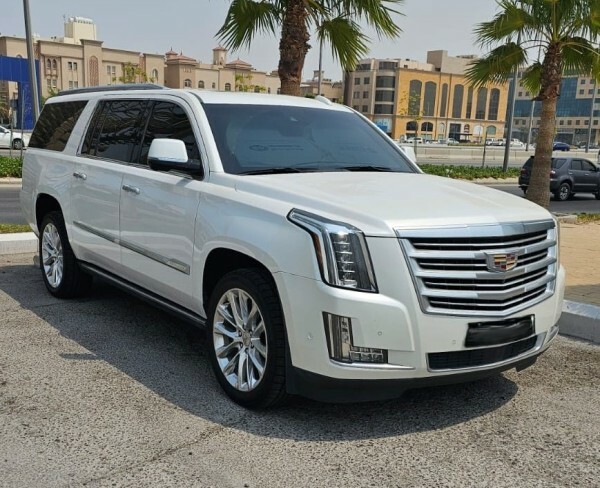 Large Escalade Platinum 2019 - 14