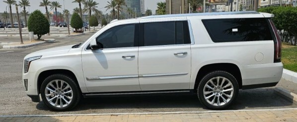 Large Escalade Platinum 2019 - 1