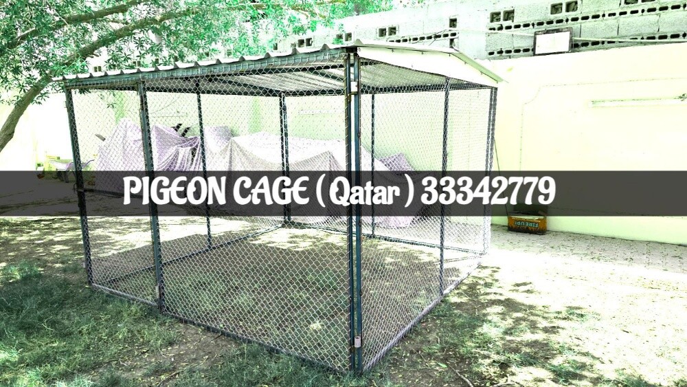pigeon coop for sale 3/3 - 4