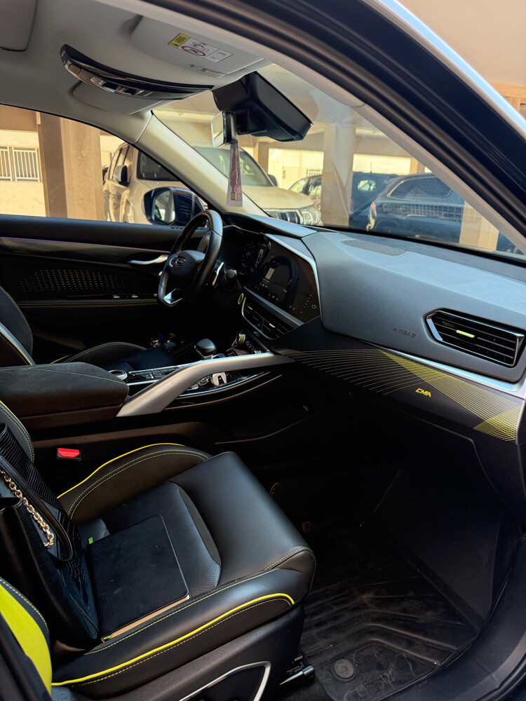Geely Tugella Luxury - 13