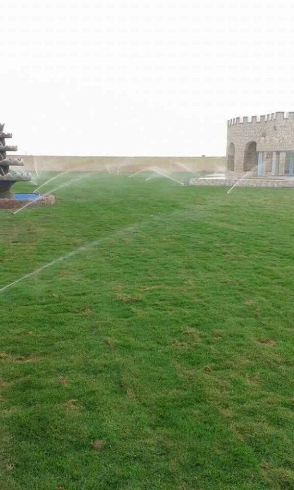 زراعة حدائق - 2