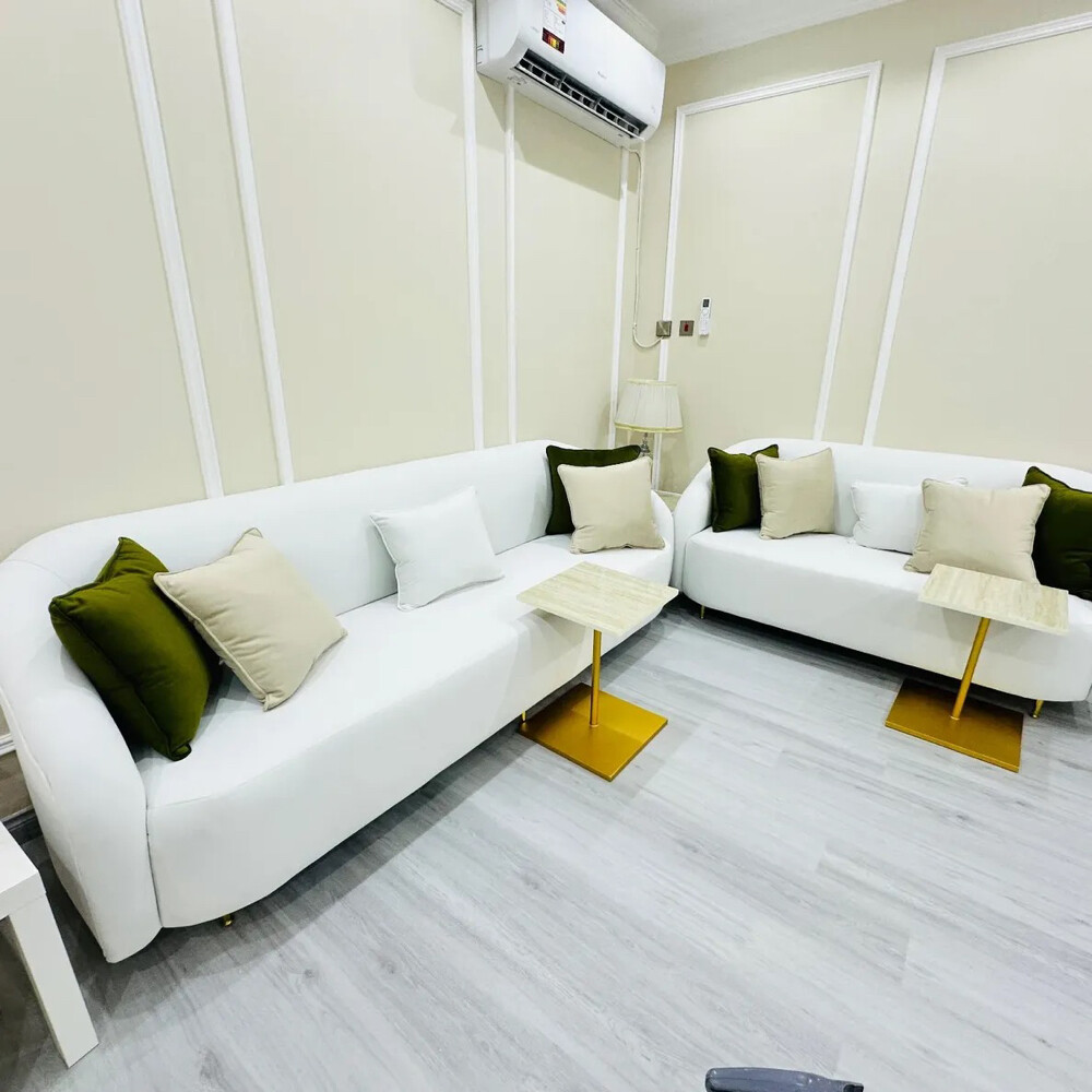 Classic model sofa - 3