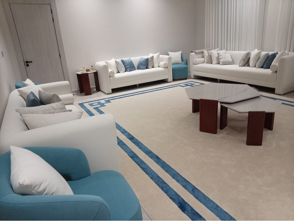 Classic model sofa - 1