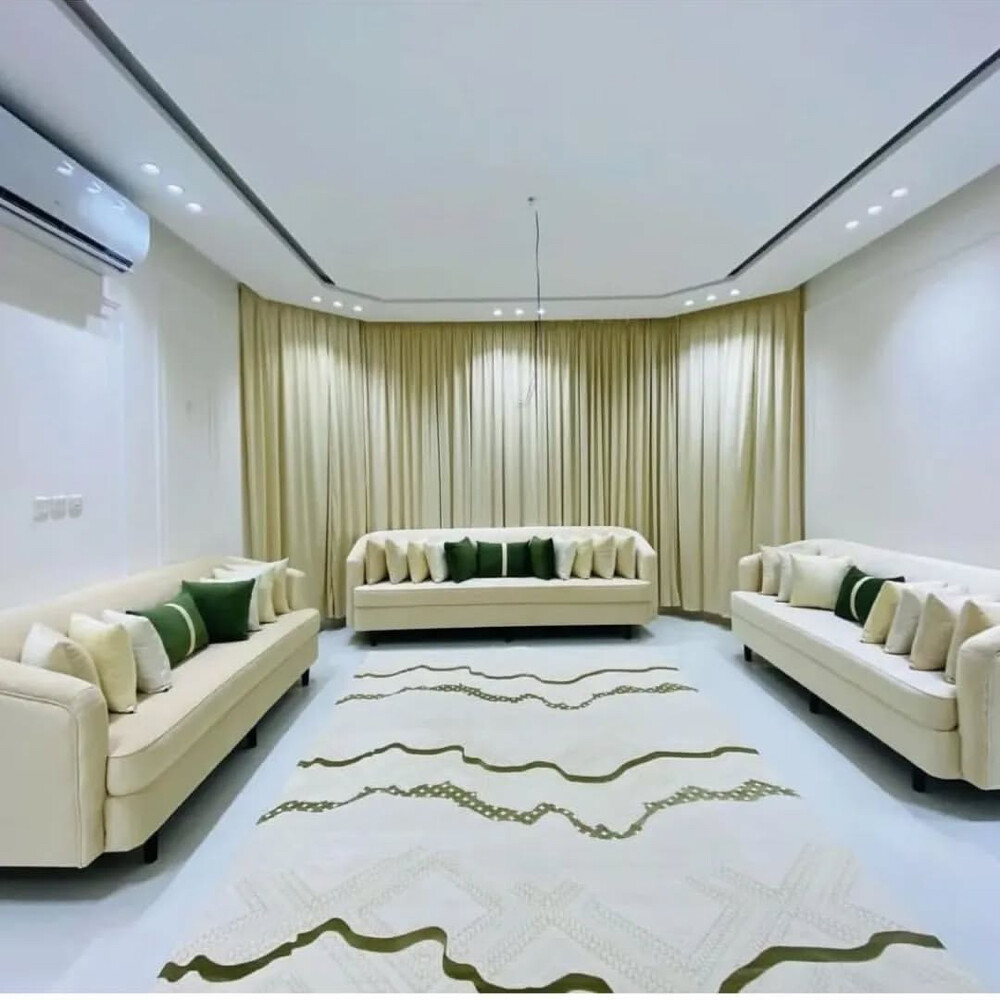 Classic model sofa - 4