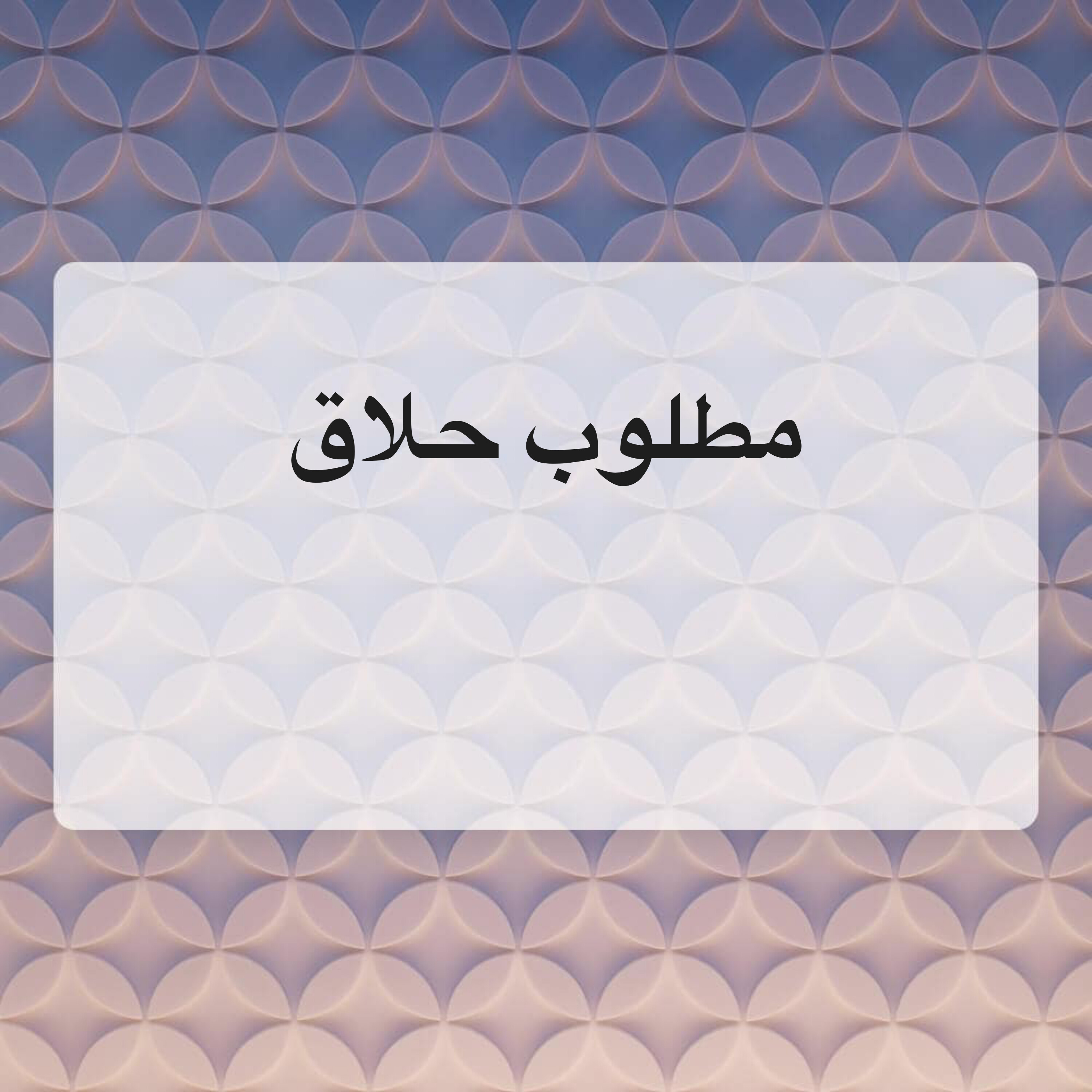 مطلوب سائق - 4