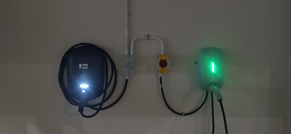 Rox, ByD,  tesla - 3