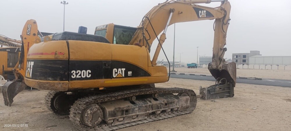 cat Belgium - 3