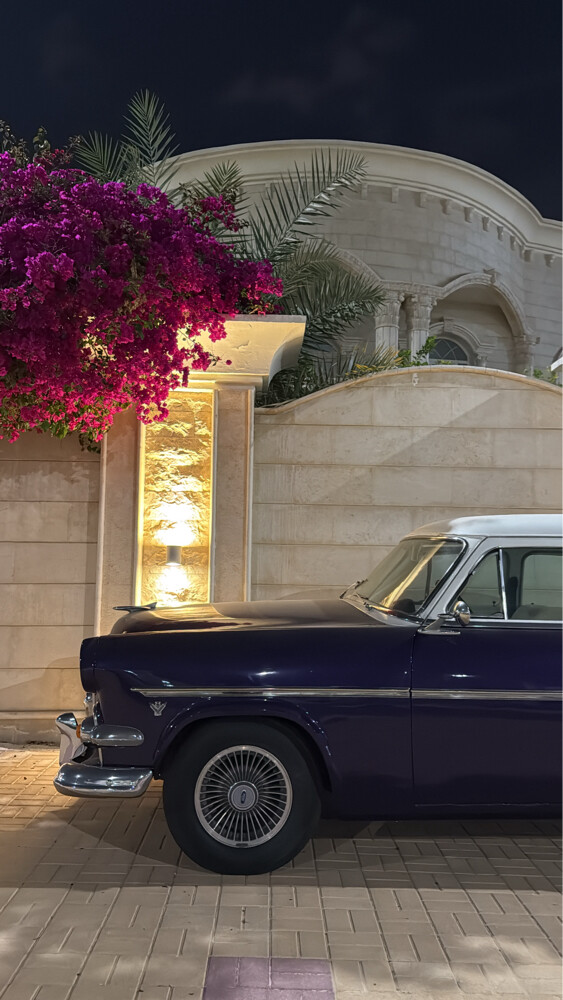 فورد كاستم لاين - 5