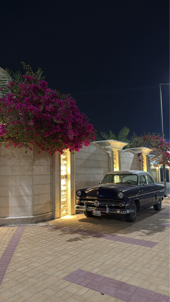 فورد كاستم لاين - 4