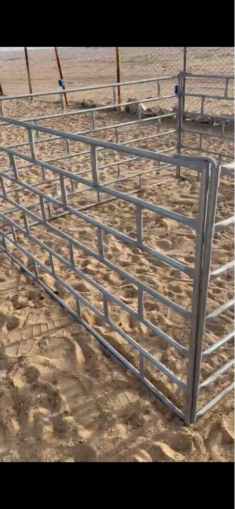 شبوك غنم بيبات - 1